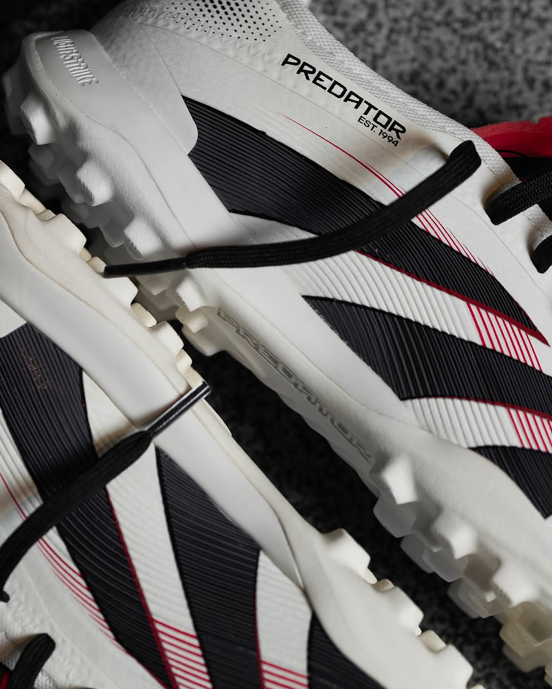 TOUT-TERRAIN PREDATOR 24 SUPERGOOD   #600#120